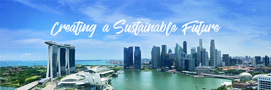 Singapore Skyline
