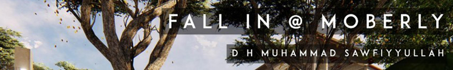 D H Muhammad Sawfiyyullah_thumbnail new