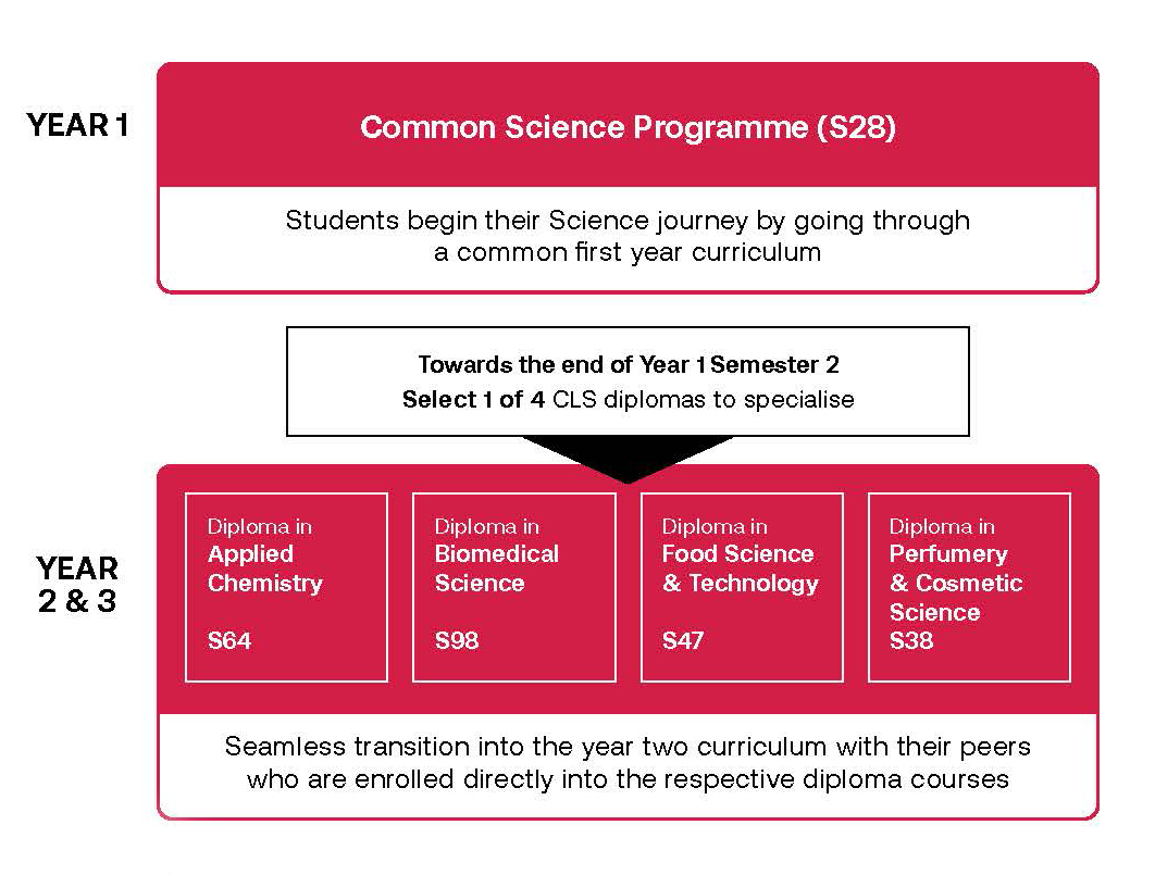 Common Science Programme-Progression 