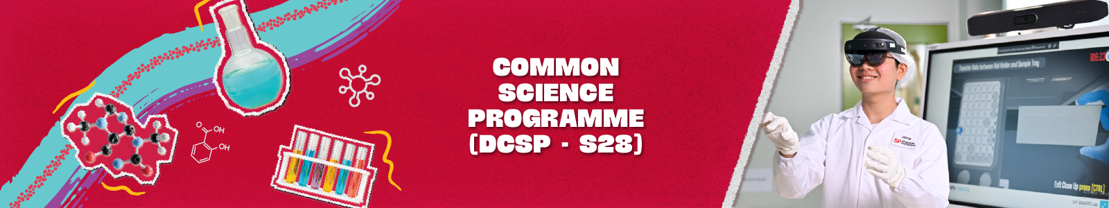 DCSP Banner