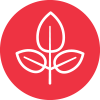 230 Species of Flora