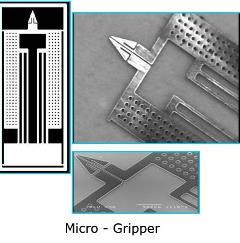 Micro - Gripper