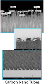 Carbon Nanotube