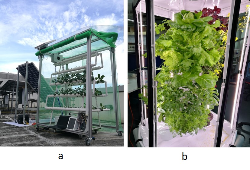 Net-Zero Renewable Energy Vertical Farming Net-Zero Renewable Energy Vertical Farming