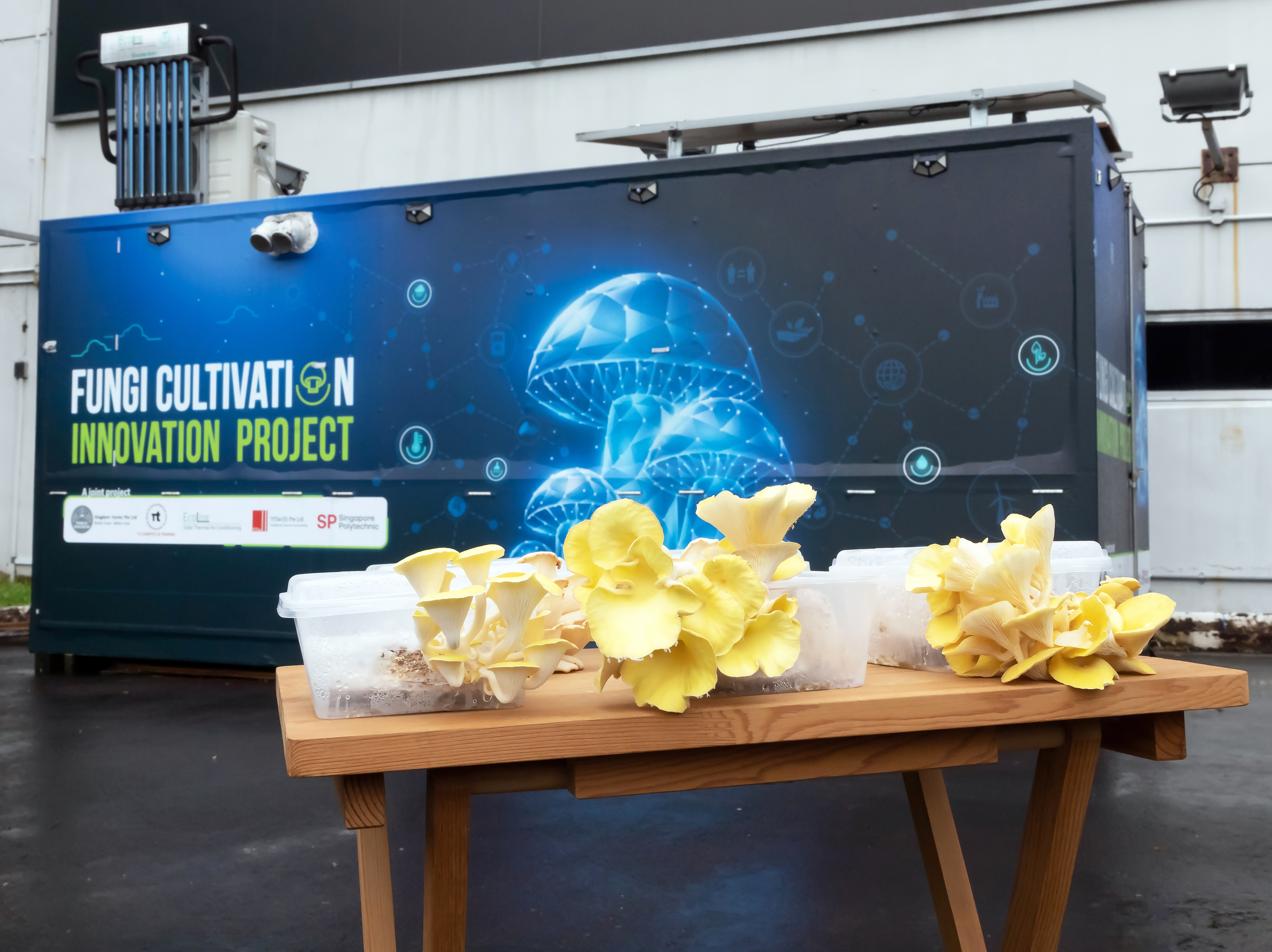 Sustainable Mushroom Farming with AIoT Technology Sustainable Mushroom Farming with AIoT Technology