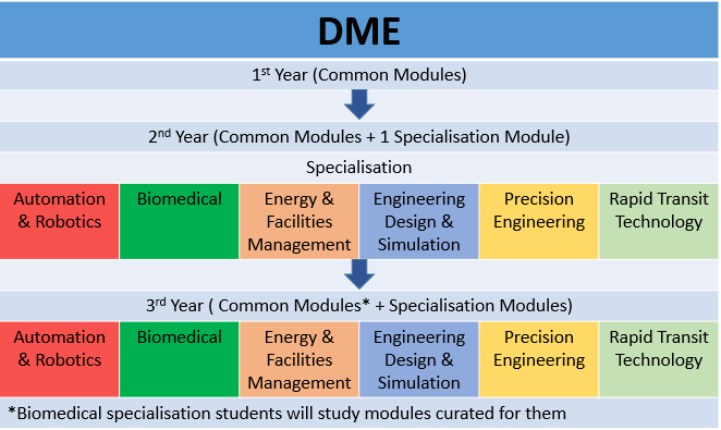 MAE What you study 2021