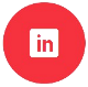LI Icon