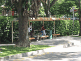 IMG_phtBusStopFC1 Bus Stop FC1