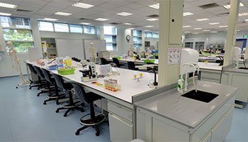 basicmicrobiology