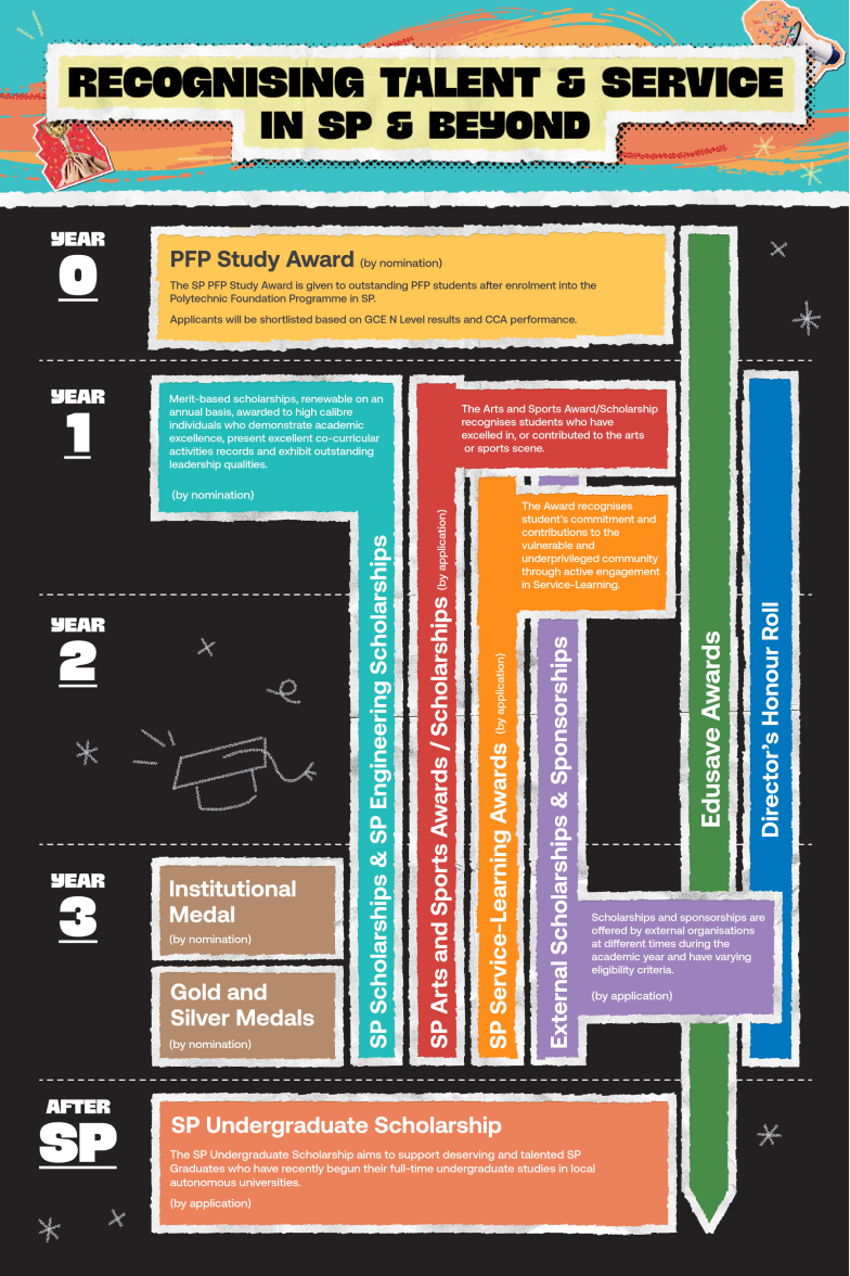 Scholarship journey infographic